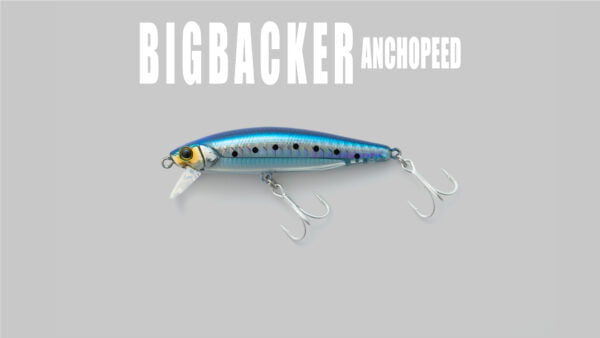 ANCHOPEED SLIMLONG PC TOP