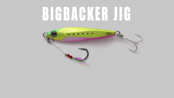 BIGBACKER JIG NEW COLOR SP TOP 2 1