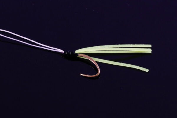MG 13553