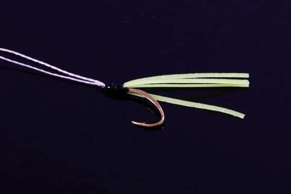 MG 13553
