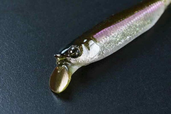 RVDF lip