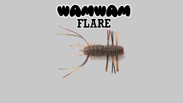 WAMWAM FLARE4860 WEB PC 001