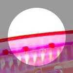 ajax upload16532670324guzfNtYk01W3ApM