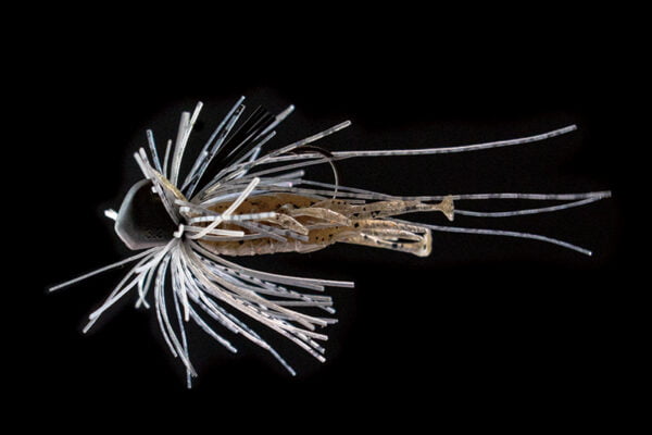 beak rvbug1.5