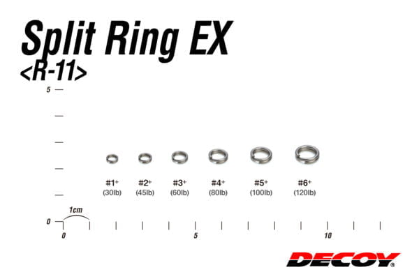 r 11 04size scaled