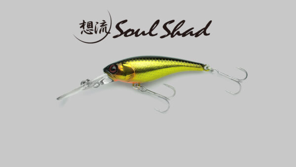 soulshad New web 001