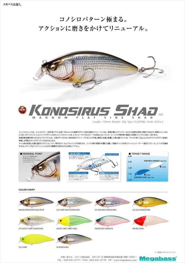 KONOSIRUS SHAD