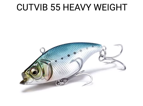 elninolure 截圖 2025 09 05 下午5.45.28 png