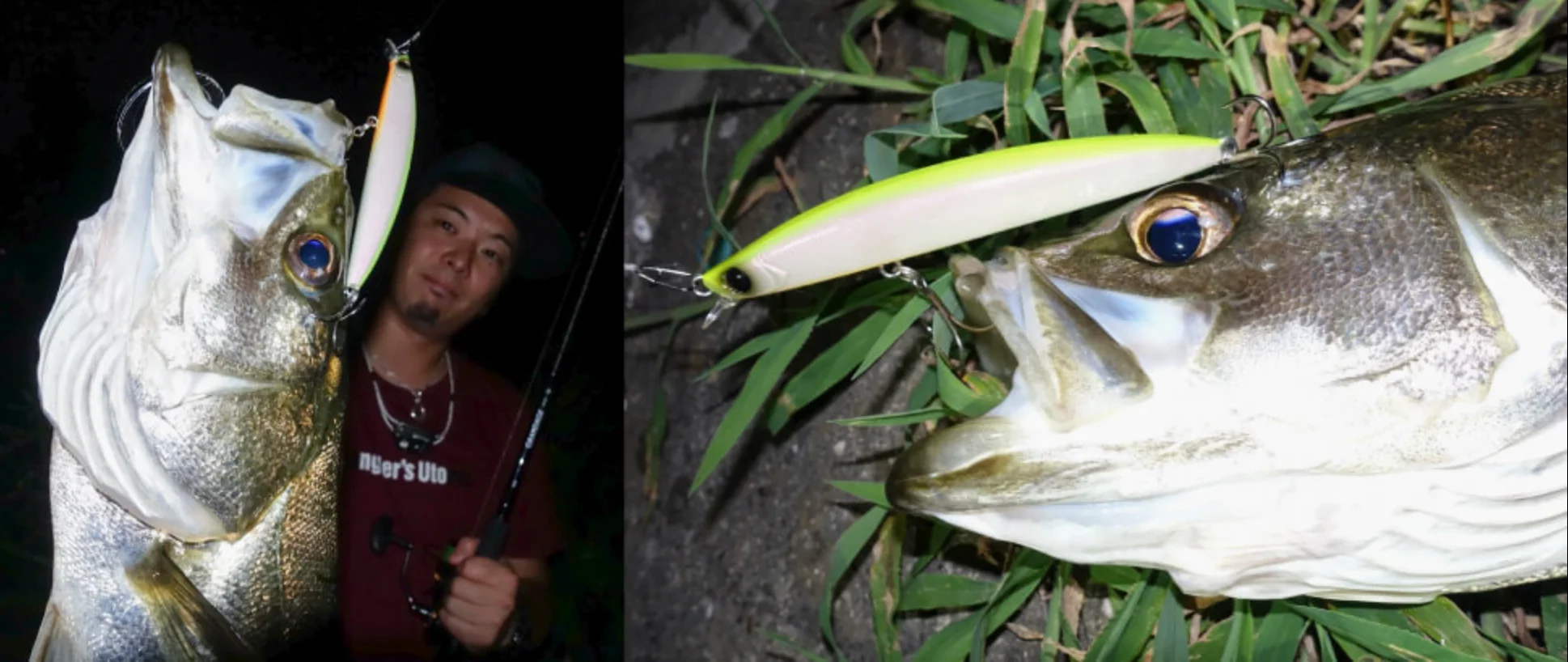 截圖 2023 11 03 下午5.03.04