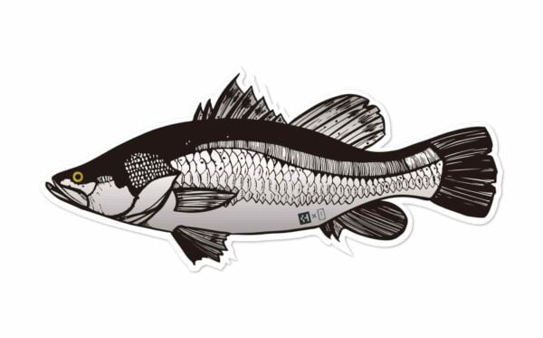 fish sticker barramundi00