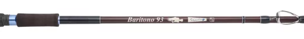 Baritono93 name01 scaled