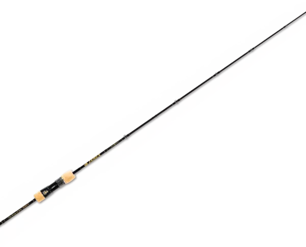 elninolure bg content png