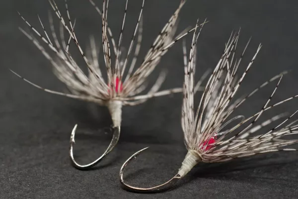 fly 3 945x630 1