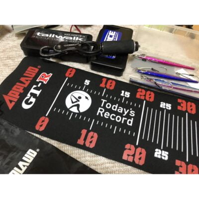 APPLAUD GT-R Measure Sheet 測量表