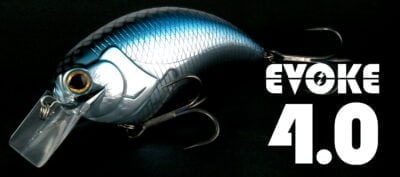 Deps EVOKE 4.0