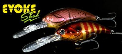 Deps EVOKE SHAD MR