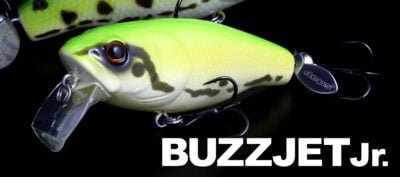 Deps BUZZJET Jr.