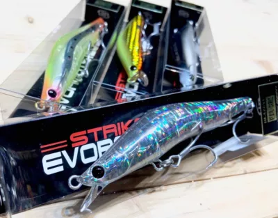 BLAZEYE EVOROOTS 120SF 限定
