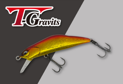 HARD STREAMS T-Gravits 50SD - TR04