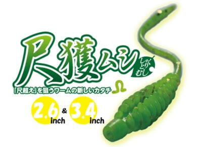 arukazik 尺獲ムシ(しゃくとりむし)2.6inch