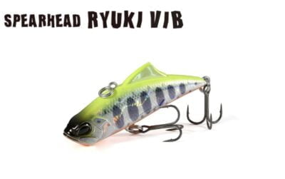 DUO SPEARHEAD RYUKI VIB 45S