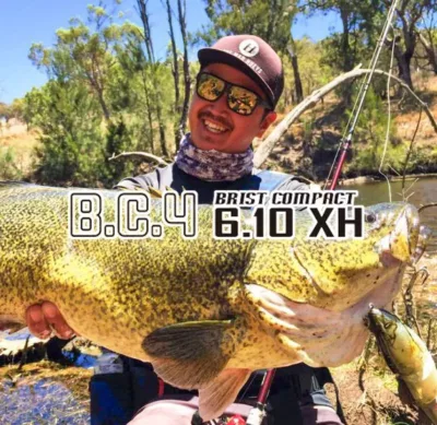 Fishman BC4 6.10XH