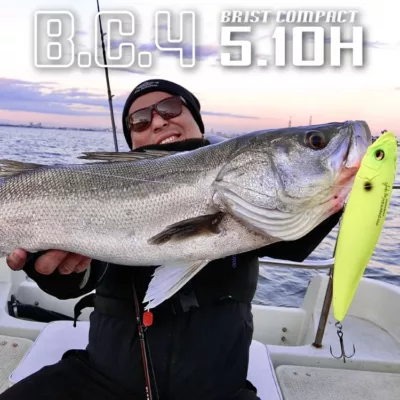 Fishman BC4 5.10H