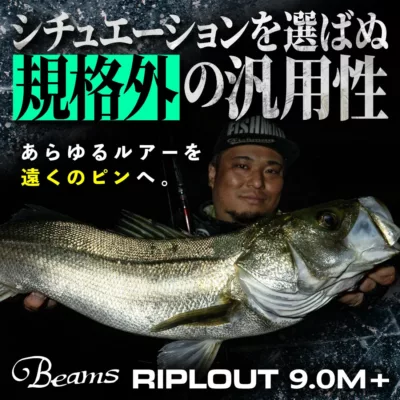 Fishman BeamsRIPLOUT9.0M+