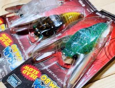 TIEMCO Cicada Jumbo Dead Slow