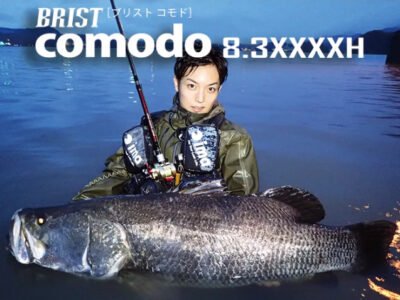 Fishman BRISTcomodo8.3XXXXH