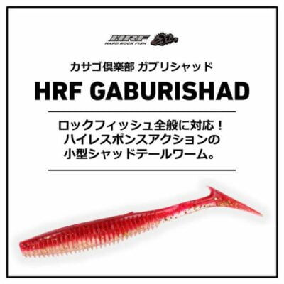 (特價) Daiwa HRF G Shad 2.9