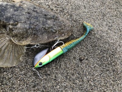 ZEAKE S_GRAVITYY SHAD WORM 3inch