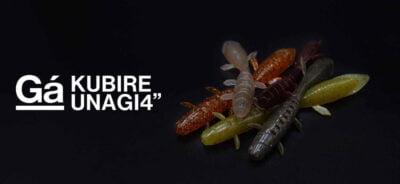 GALAPAGOS KUBIRE UNAGI 4"