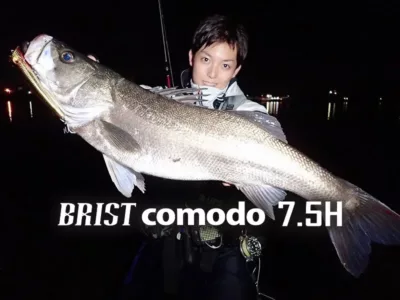 Fishman BRISTcomodo7.5H