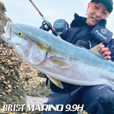 Fishman BRIST MARINO9.9H