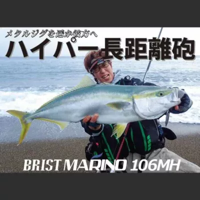Fishman BRIST MARINO10.6MH