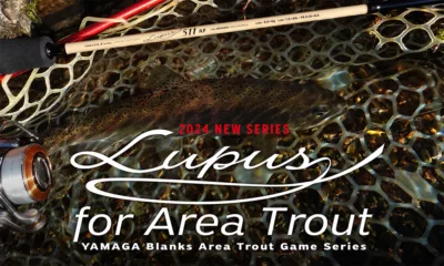 Yamaga Blanks Lupus For Area