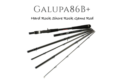 Transcendence Gallupa86B