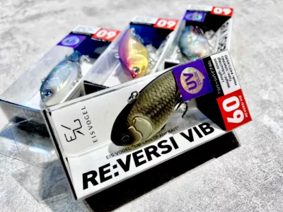 EISVOGEL RE:VERSI VIB60