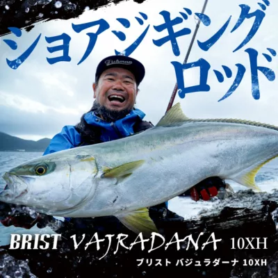 Fishman BRIST VAJRADANA10XH