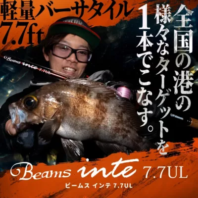 Fishman Beams inte7.7UL