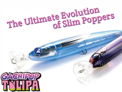 BLUE BLUE GACHIPOP TULIPA 230