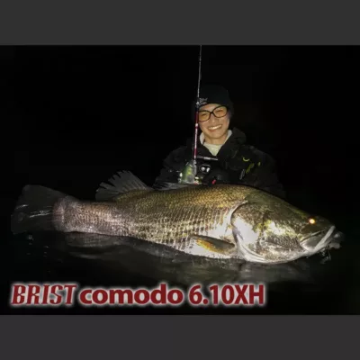 Fishman BRISTcomodo6.10XH
