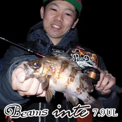 Fishman Beamsinte7.9UL