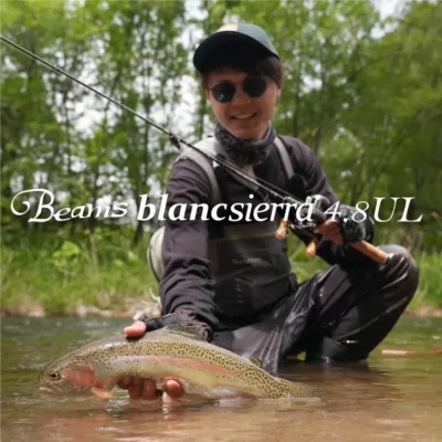Fishman Beams blancsierra4.8UL