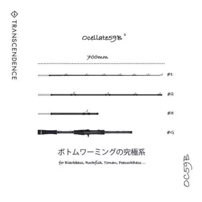 TRANSCENDENCE Ocellate59B+