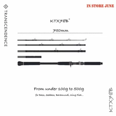 TRANSCENDENCE KTX78B+