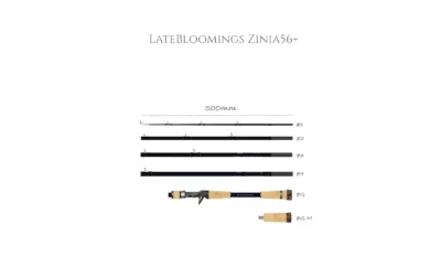 Transcendence Latebloomings Zinia 56B