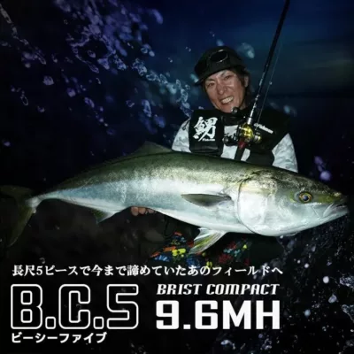 Fishman BC5 9.6MH