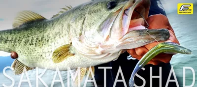 Deps Sakamata Shad 5"